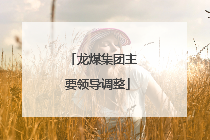 龙煤集团主要领导调整