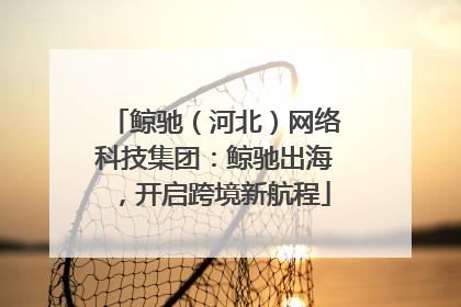 鲸驰（河北）网络科技集团：鲸驰出海，开启跨境新航程