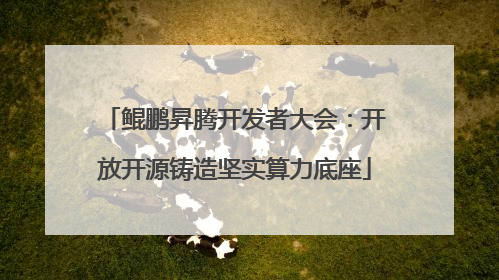鲲鹏昇腾开发者大会：开放开源铸造坚实算力底座