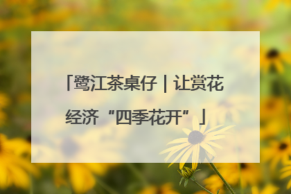 鹭江茶桌仔｜让赏花经济“四季花开”