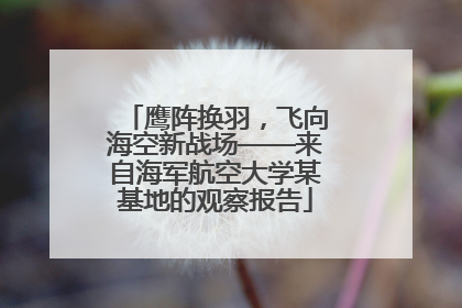 鹰阵换羽，飞向海空新战场——来自海军航空大学某基地的观察报告