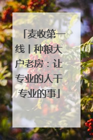 麦收第一线丨种粮大户老房：让专业的人干专业的事