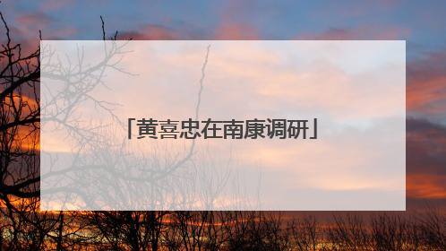 黄喜忠在南康调研