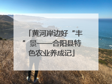黄河岸边好“丰”景——合阳县特色农业养成记