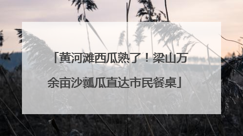 黄河滩西瓜熟了！梁山万余亩沙瓤瓜直达市民餐桌