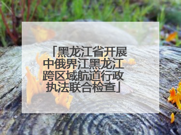 黑龙江省开展中俄界江黑龙江跨区域航道行政执法联合检查