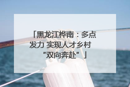 黑龙江桦南：多点发力 实现人才乡村“双向奔赴”