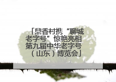 鼎香村携“聊城老字号”惊艳亮相第九届中华老字号（山东）博览会