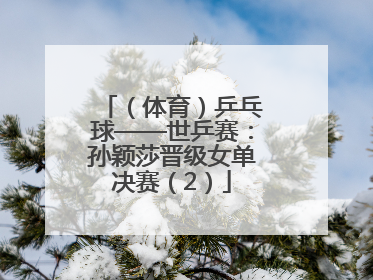（体育）乒乓球——世乒赛：孙颖莎晋级女单决赛（2）