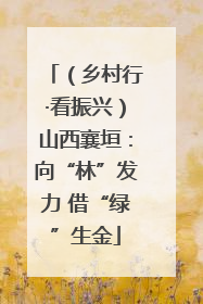 （乡村行·看振兴）山西襄垣：向“林”发力 借“绿”生金