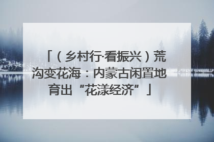 （乡村行·看振兴）荒沟变花海：内蒙古闲置地育出“花漾经济”