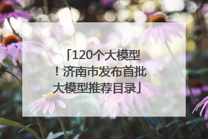 120个大模型！济南市发布首批大模型推荐目录
