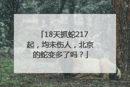 18天抓蛇217起，均未伤人，北京的蛇变多了吗？