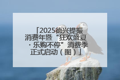 2025德兴提振消费年暨“狂欢盛夏・乐购不停”消费季正式启动（图）