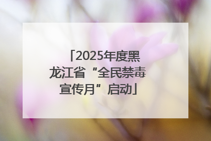 2025年度黑龙江省“全民禁毒宣传月”启动