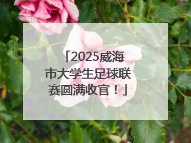 2025威海市大学生足球联赛圆满收官！