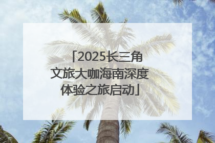 2025长三角文旅大咖海南深度体验之旅启动