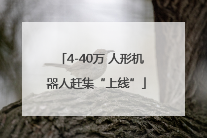 4-40万 人形机器人赶集“上线”