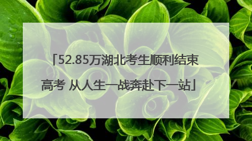 52.85万湖北考生顺利结束高考 从人生一战奔赴下一站