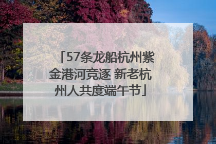 57条龙船杭州紫金港河竞逐 新老杭州人共度端午节