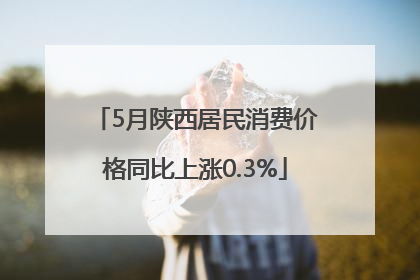 5月陕西居民消费价格同比上涨0.3%