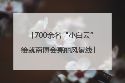 700余名“小白云”绘就南博会亮丽风景线