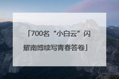 700名“小白云”闪耀南博续写青春答卷