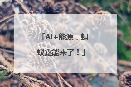 AI+能源，蚂蚁鑫能来了！