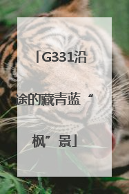 G331沿途的藏青蓝“枫”景
